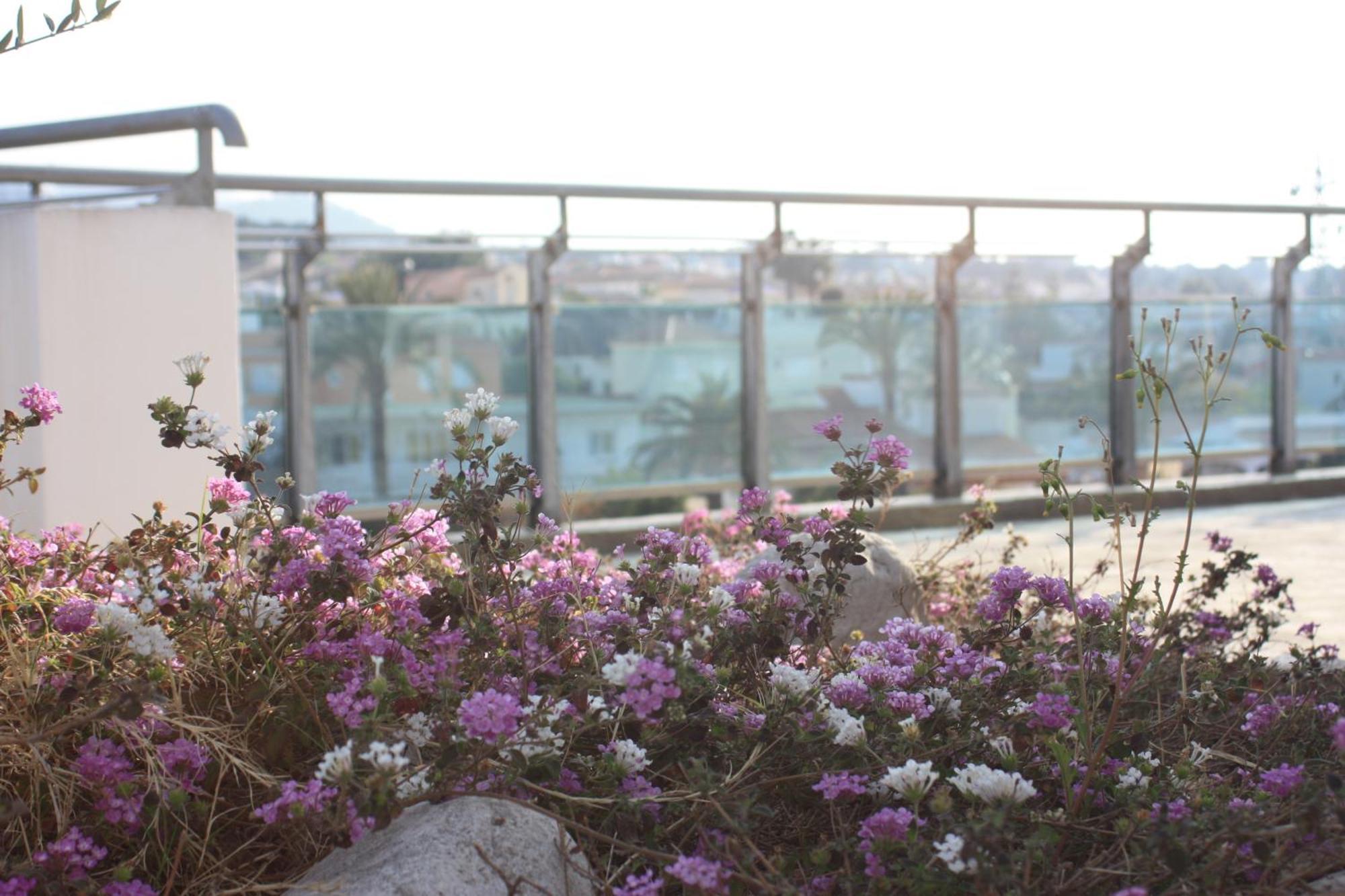 Hotel Rober Palas El Albir Ngoại thất bức ảnh